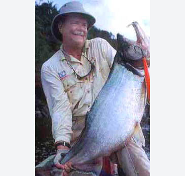 Record photograph for Hydrolycus scomberoides